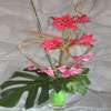 composition florale
